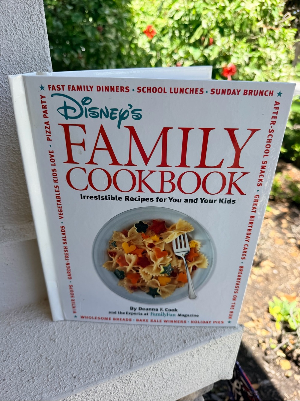 Disney’s Family Cookbook Deanna F Cook 1996 First Edition Spiral Hardcover